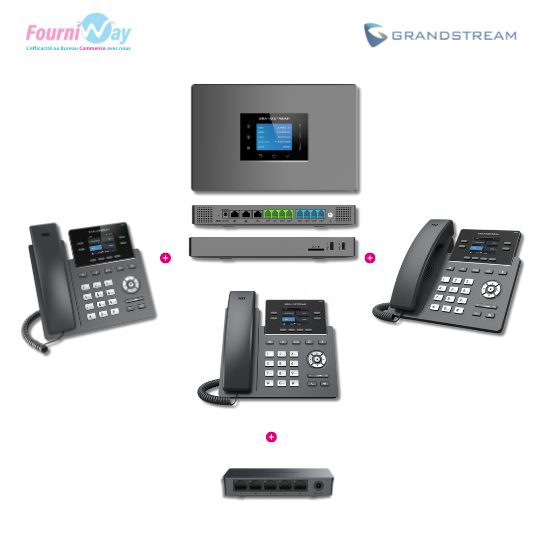 Pack Standard Téléphonie IP (VoiP) - Couleur